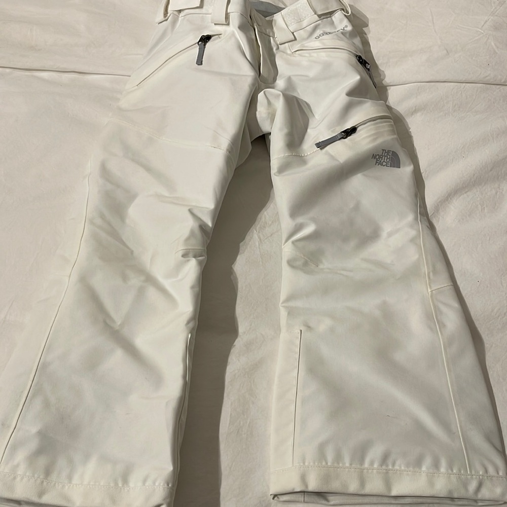 The north face ski pants